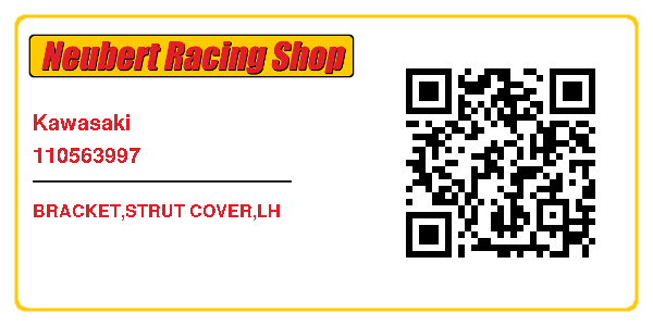 Kawasaki 110563997