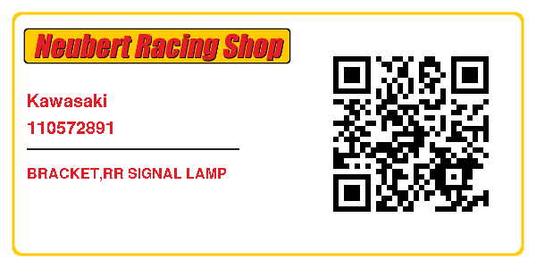 Kawasaki 110572891