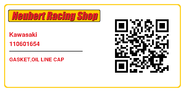 Kawasaki 110601654