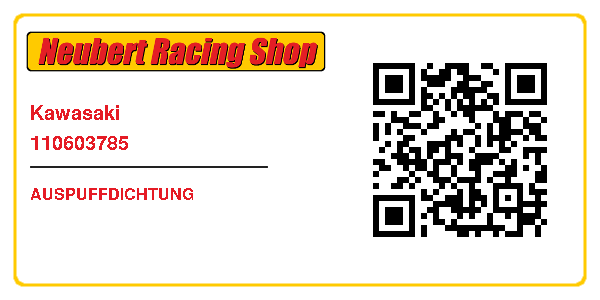 Kawasaki 110603785
