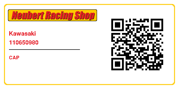 Kawasaki 110650980