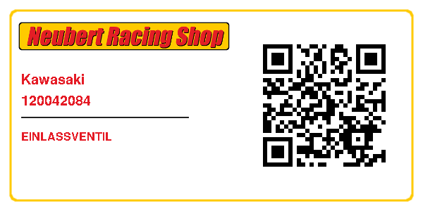 Kawasaki 120042084