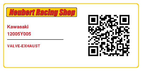 Kawasaki 12005Y005