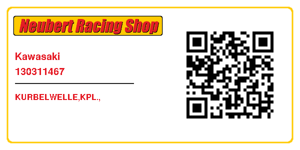 Kawasaki 130311467