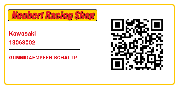 Kawasaki 13063002