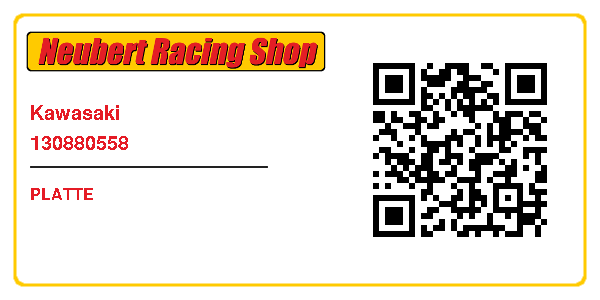 Kawasaki 130880558
