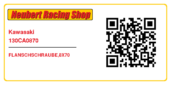 Kawasaki 130CA0870