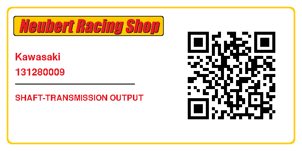Kawasaki 131280009