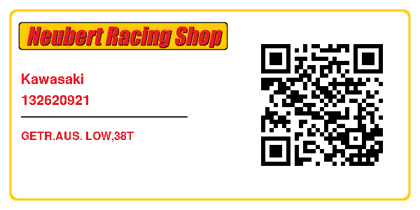 Kawasaki 132620921