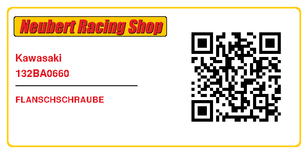 Kawasaki 132BA0660
