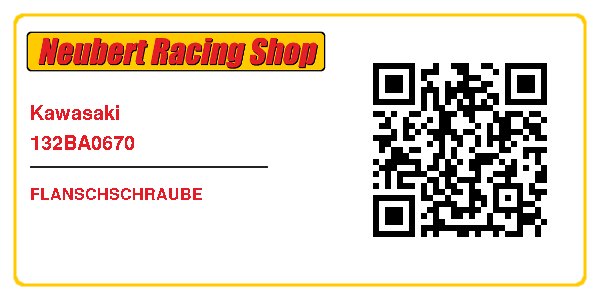Kawasaki 132BA0670