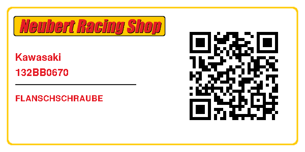 Kawasaki 132BB0670