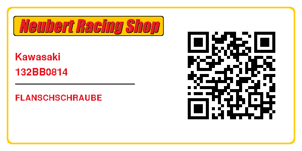 Kawasaki 132BB0814