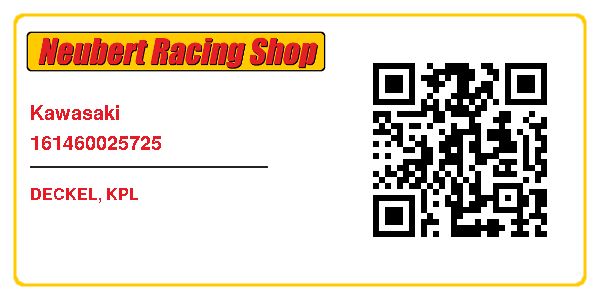Kawasaki 161460025725