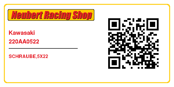 Kawasaki 220AA0522