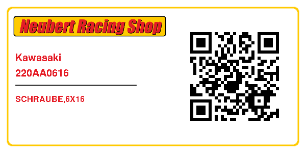 Kawasaki 220AA0616
