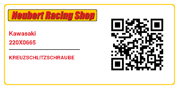 Kawasaki 220X0665