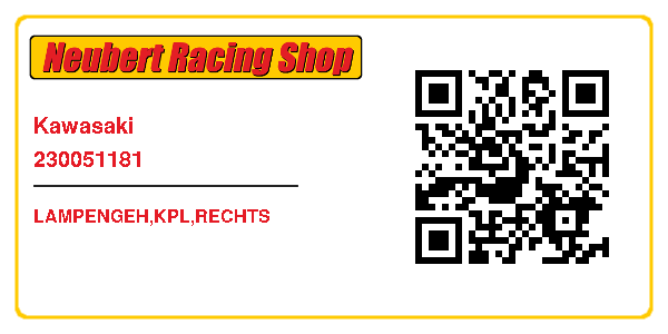 Kawasaki 230051181