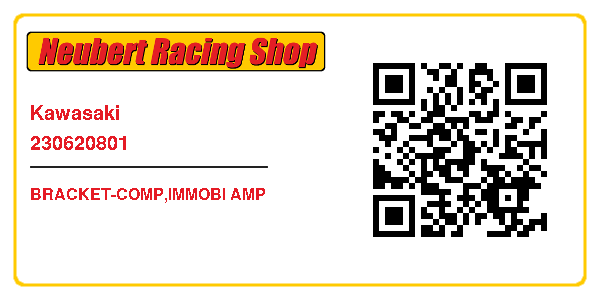 Kawasaki 230620801