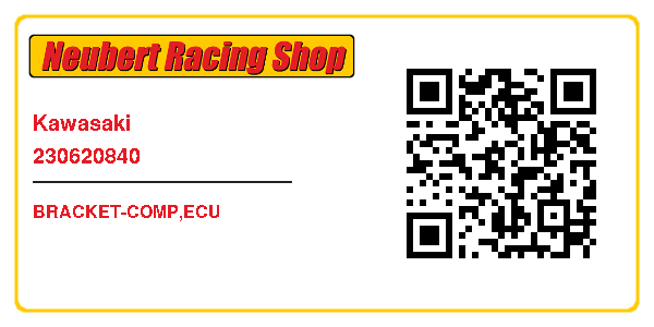 Kawasaki 230620840
