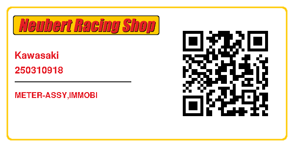 Kawasaki 250310918