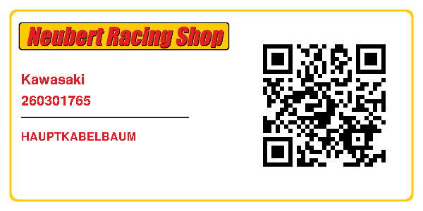 Kawasaki 260301765