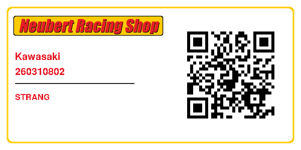 Kawasaki 260310802
