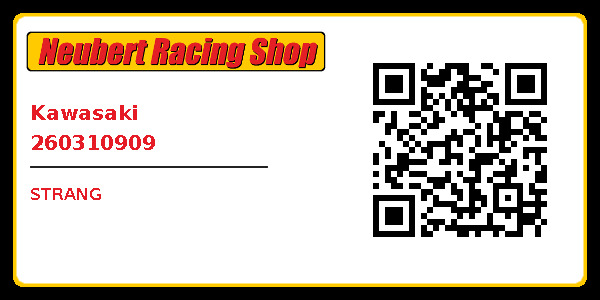 Kawasaki 260310909