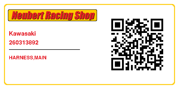 Kawasaki 260313892