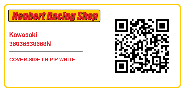 Kawasaki 36036538668N