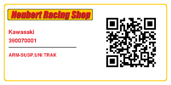 Kawasaki 390070001