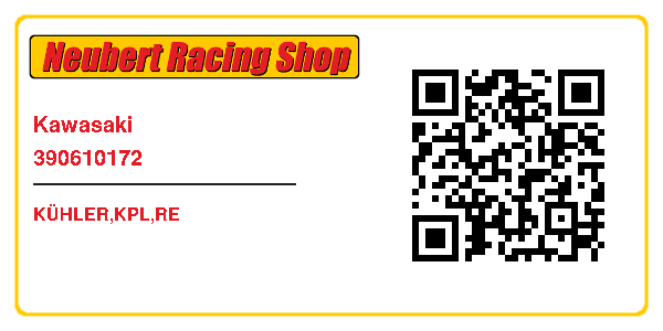 Kawasaki 390610172