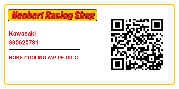 Kawasaki 390620731