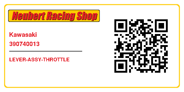 Kawasaki 390740013