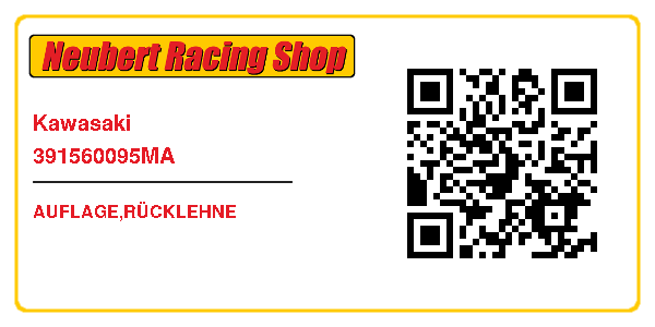 Kawasaki 391560095MA