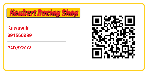 Kawasaki 391560999