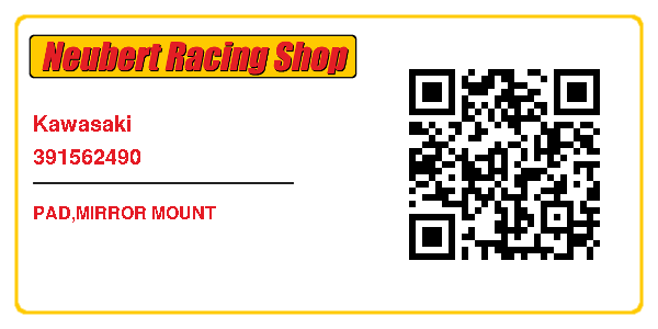 Kawasaki 391562490