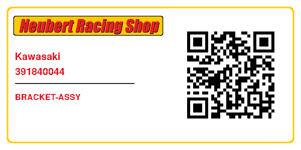 Kawasaki 391840044