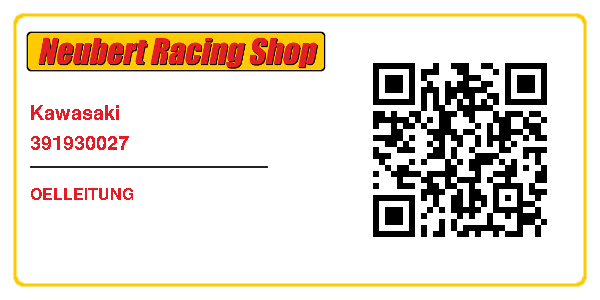 Kawasaki 391930027