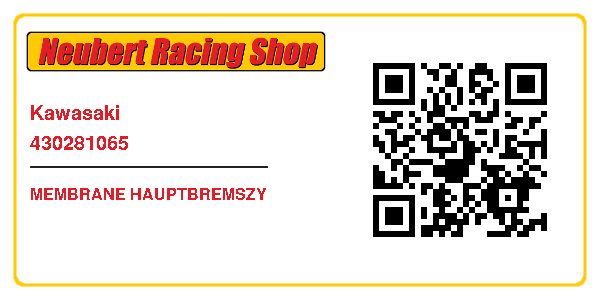 Kawasaki 430281065