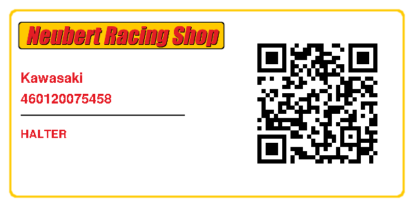 Kawasaki 460120075458