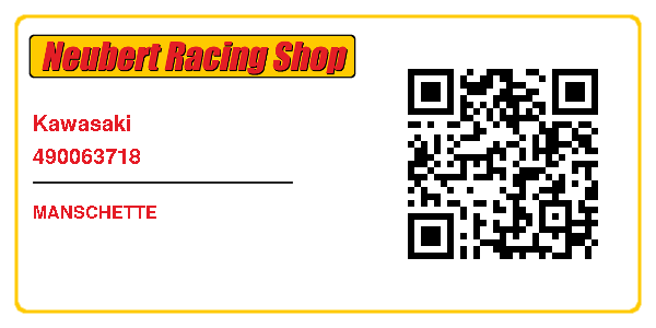 Kawasaki 490063718