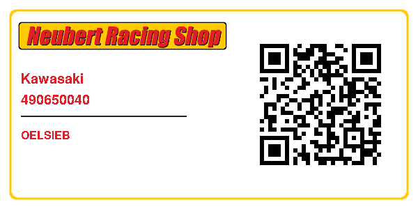 Kawasaki 490650040