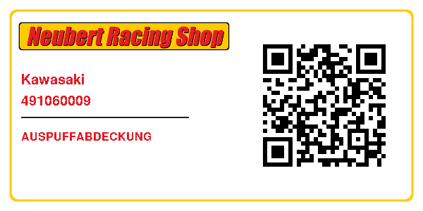Kawasaki 491060009