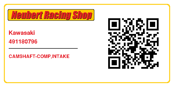 Kawasaki 491180796