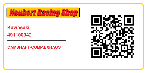 Kawasaki 491180942