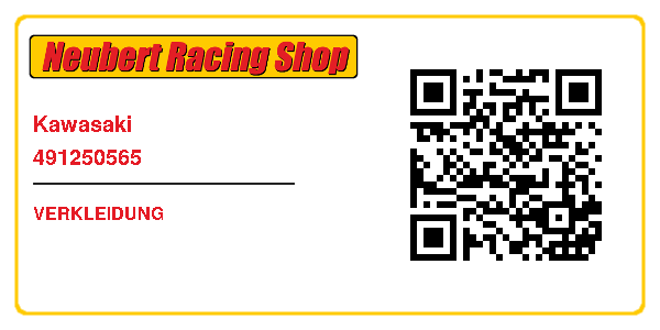Kawasaki 491250565
