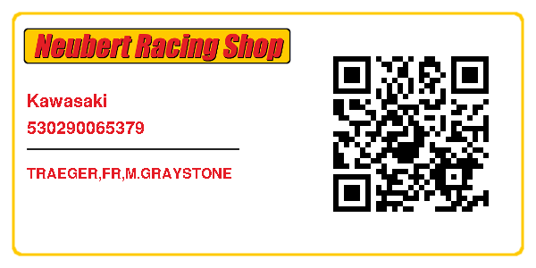 Kawasaki 530290065379