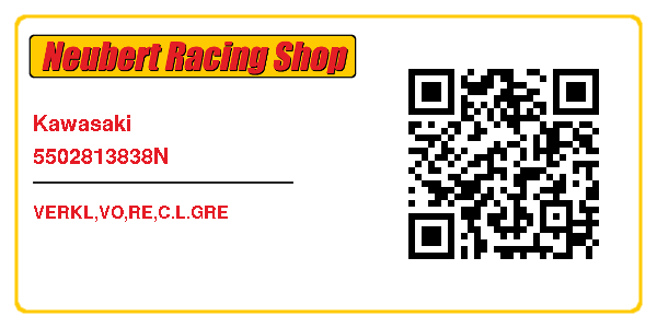 Kawasaki 5502813838N