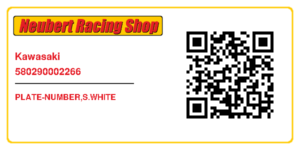 Kawasaki 580290002266